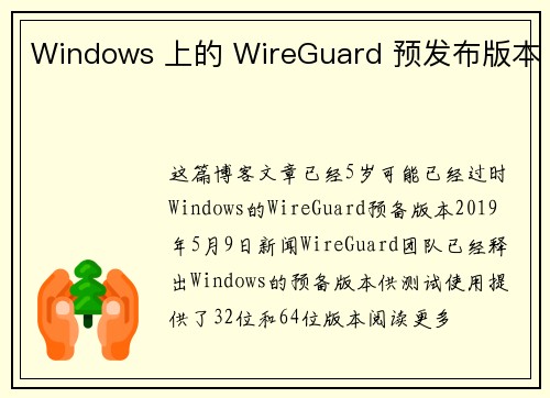 Windows 上的 WireGuard 预发布版本 